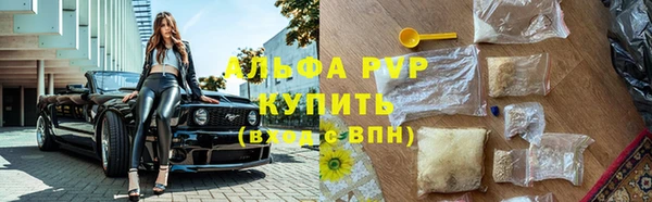 СК Протвино