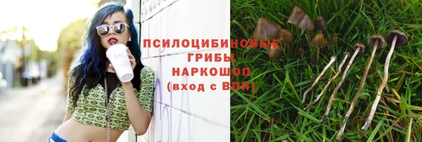 СК Протвино